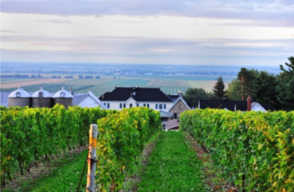 Itinéraire Vignoble