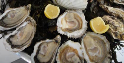 Des huîtres à la Soirée gastronomique Huîtres et Chefs item-thumbnail