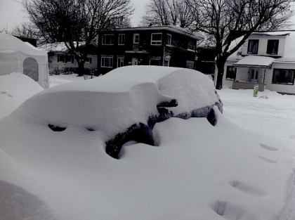 Ville de Longueuil avise qu'il faut préparer son terrain pour l''hiver,