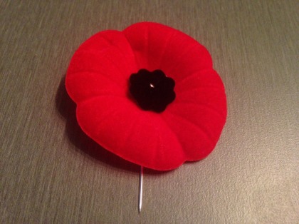 Le coquelicot, en souvenir des soldats  qui ont combattu.