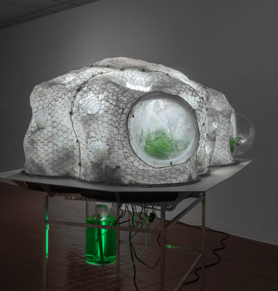 Daniel Corbeil au Dôme terrarium, 2015 Plastique, aluminium, résine époxy, broche à poule, néon, plantes 180 x 185 x 108 cm.
