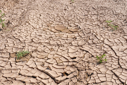 Marche 100% Possible pour le climat item-thumbnail