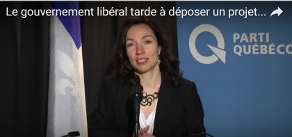 La députée Martine Ouellet.