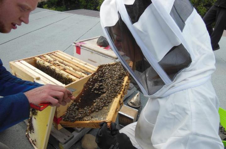 Saint-Lambert offre des ateliers éducatifs dans le cadre de son projet d'apiculture urbaine.