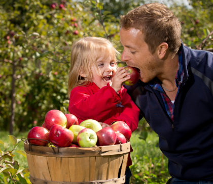 Tourisme Montérégie s'appuie sur la pommes et ses produits transformés pour promouvoir la région cet automne.